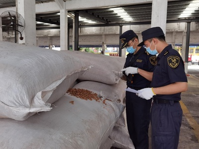 老港海關查獲6.3噸禁入固體廢物，軟木制品制造原料藏隱患